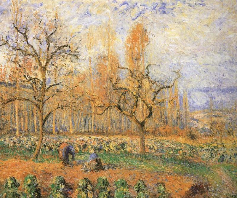 Camille Pissarro Farmland landscape oil painting image